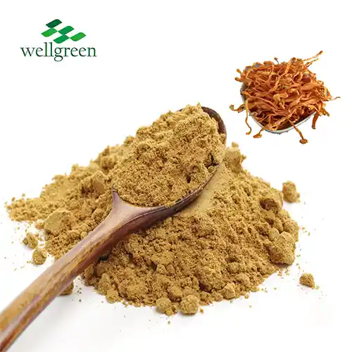 Cordyceps Militaris Powder